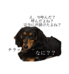 らら第2弾（個別スタンプ：2）
