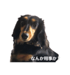 らら第2弾（個別スタンプ：4）
