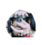 らら第2弾（個別スタンプ：10）