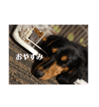 らら第2弾（個別スタンプ：13）