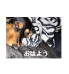 らら第2弾（個別スタンプ：16）
