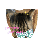 しじみちゃんの毎日（個別スタンプ：2）