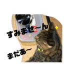 しじみちゃんの毎日（個別スタンプ：11）