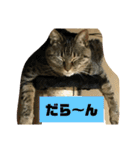 しじみちゃんの毎日（個別スタンプ：14）