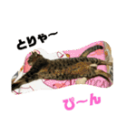 しじみちゃんの毎日（個別スタンプ：15）