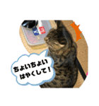 しじみちゃんの毎日（個別スタンプ：26）