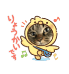 しじみちゃんの毎日（個別スタンプ：31）