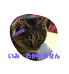 しじみちゃんの毎日（個別スタンプ：34）