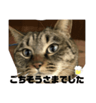 しじみちゃんの毎日（個別スタンプ：40）