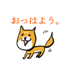柴犬鬼平のやんちゃな日常スタンプ（個別スタンプ：1）