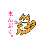 柴犬鬼平のやんちゃな日常スタンプ（個別スタンプ：3）