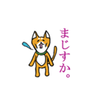 柴犬鬼平のやんちゃな日常スタンプ（個別スタンプ：4）