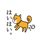 柴犬鬼平のやんちゃな日常スタンプ（個別スタンプ：6）