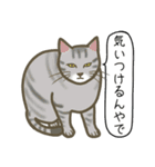 軽肥満猫の太郎、春編（個別スタンプ：23）