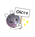 きゃわあんこ（個別スタンプ：8）