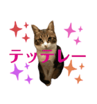 ごえもん日和11（個別スタンプ：2）