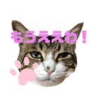 ごえもん日和11（個別スタンプ：3）