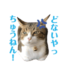 ごえもん日和11（個別スタンプ：5）
