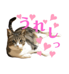 ごえもん日和11（個別スタンプ：7）