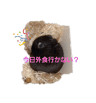 クロン♥️スタンプ     特別版（個別スタンプ：9）