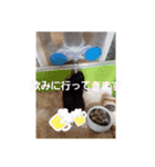 クロン♥️スタンプ     特別版（個別スタンプ：11）