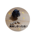 クロン♥️スタンプ     特別版（個別スタンプ：12）