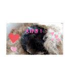 クロン♥️スタンプ     特別版（個別スタンプ：13）