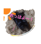 クロン♥️スタンプ     特別版（個別スタンプ：17）
