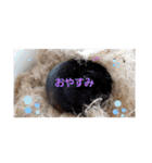 クロン♥️スタンプ     特別版（個別スタンプ：20）