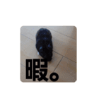 クロン♥️スタンプ     特別版（個別スタンプ：22）