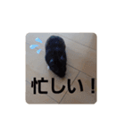 クロン♥️スタンプ     特別版（個別スタンプ：23）