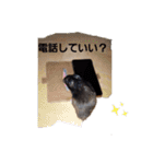 クロン♥️スタンプ     特別版（個別スタンプ：31）