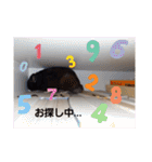 クロン♥️スタンプ     特別版（個別スタンプ：35）