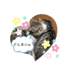 アルナハ3（個別スタンプ：4）