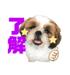 こてつスタンプ-2（個別スタンプ：7）