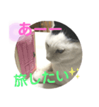 あさなんちのにゃんとかにゃるさ（個別スタンプ：24）
