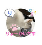 あさなんちのにゃんとかにゃるさ（個別スタンプ：25）
