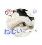 あさなんちのにゃんとかにゃるさ（個別スタンプ：27）