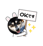 癒しかも？（個別スタンプ：3）
