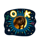 犬たち♡（個別スタンプ：2）