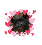 犬たち♡（個別スタンプ：4）