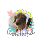 犬たち♡（個別スタンプ：7）