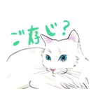 いろんな種類の猫たち 3（個別スタンプ：14）