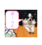 るぅたんペットファミリー（個別スタンプ：3）
