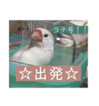 るぅたんペットファミリー（個別スタンプ：21）