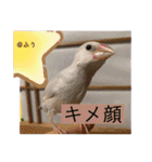 るぅたんペットファミリー（個別スタンプ：37）