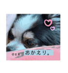るぅたんペットファミリー（個別スタンプ：39）
