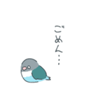 うちのインコしか勝たん！！！（個別スタンプ：5）