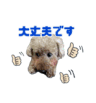 kulu❤︎❤︎（個別スタンプ：17）