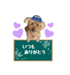 kulu❤︎❤︎（個別スタンプ：18）